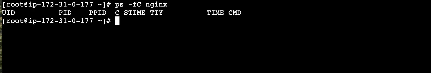 results of running ps -fC nginx
