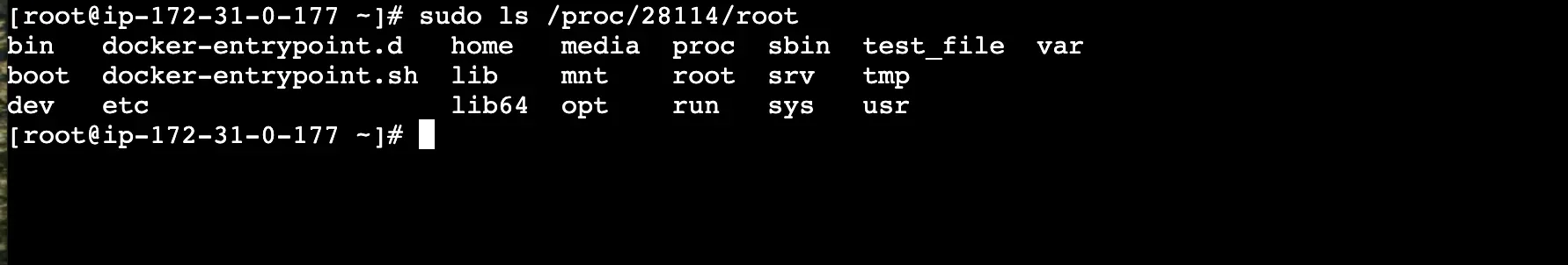 here we see the file we created when running ls command