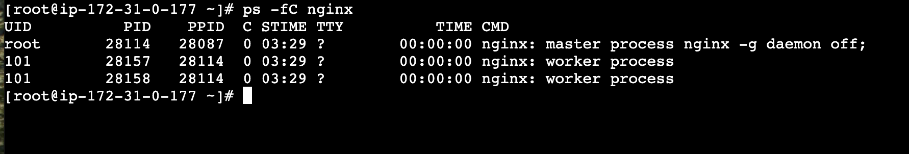 results of running ps again but with different results this time