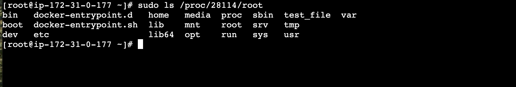 here we see the file we created when running ls command